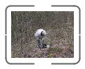Bild 016 * 640 x 479 * (122KB)